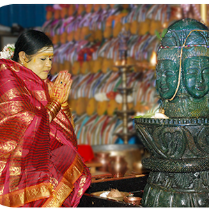 Fundraising Page: Shiva Panchakshari group